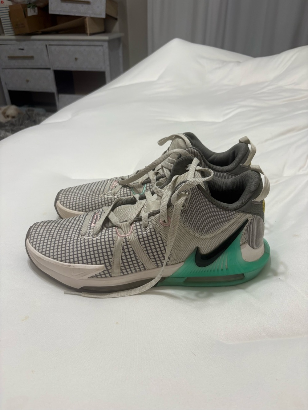 Nike Lebrons
